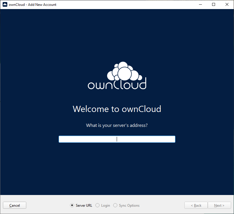 Form Entering the Instance URL