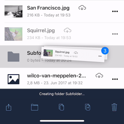Move multiple files (and folders) to another location in the ownCloud iOS App.