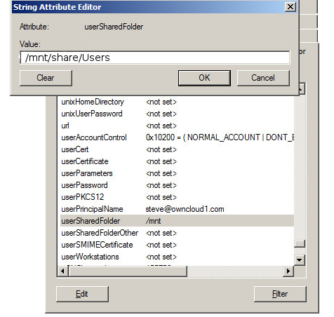 Editing the LDAP attribute.