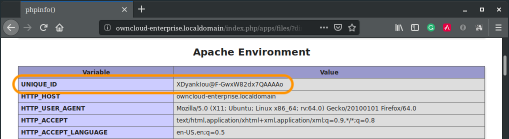 phpinfo() showing that Apache is sending the UNIQUE_ID value from mod_unique_id